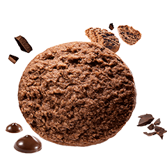 Biscotti al cioccolato