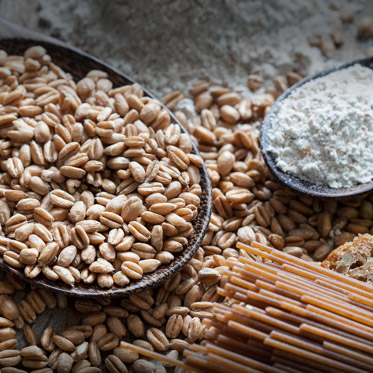 Nutrizione: i consigli dell'esperto